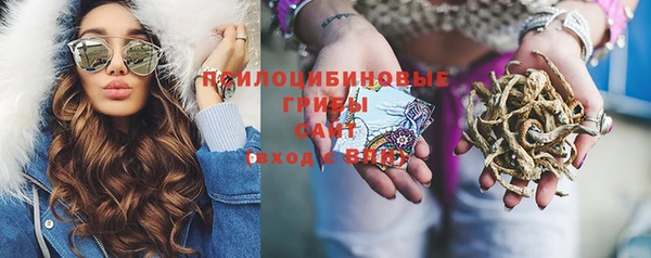 бутират Баксан