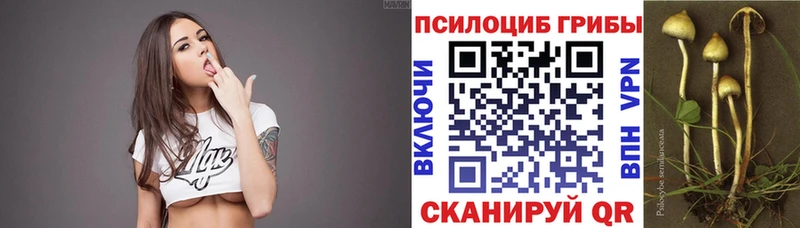 МЕГА ССЫЛКА  Кущёвская  Псилоцибиновые грибы Magic Shrooms 